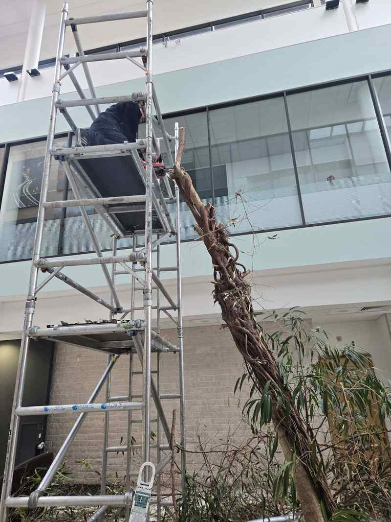 Commercial maintenance works London